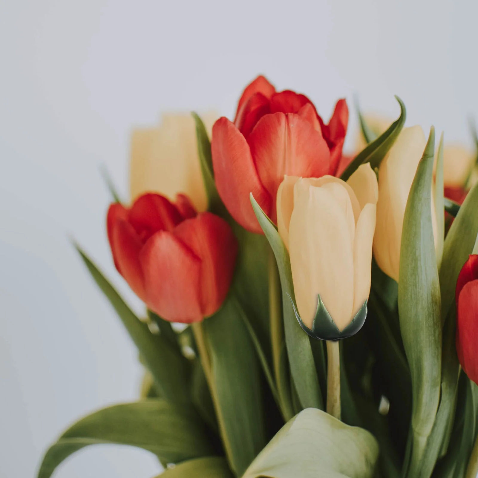 

Flowers Rose Receptacles Calyxes Artificial Soap Flowers DIY Materials DIY Rose Flower Special Receptacle Soap Calyx