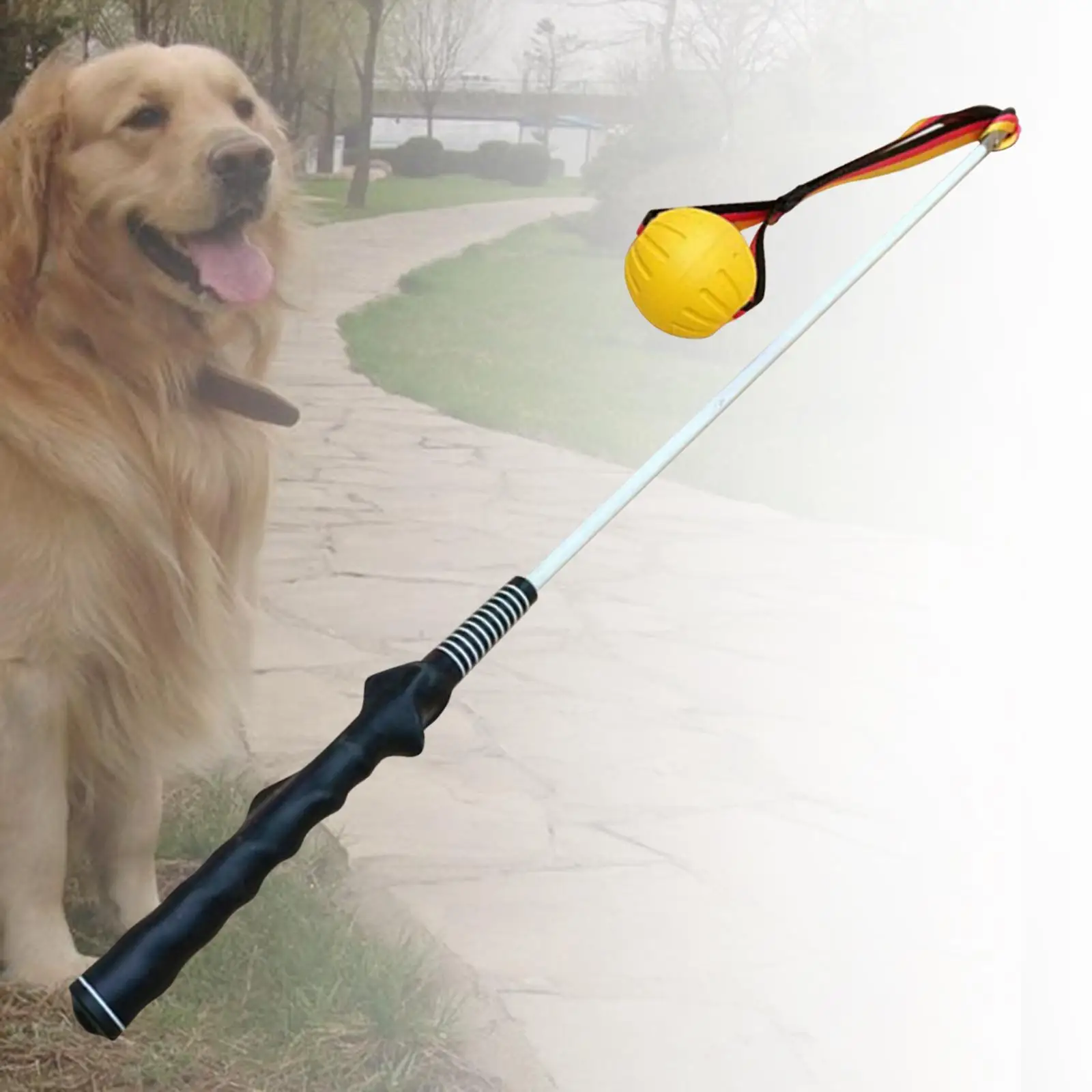 

Pole for Dogs Heavy Duty Dog Teaser for Exercise Chasing Training