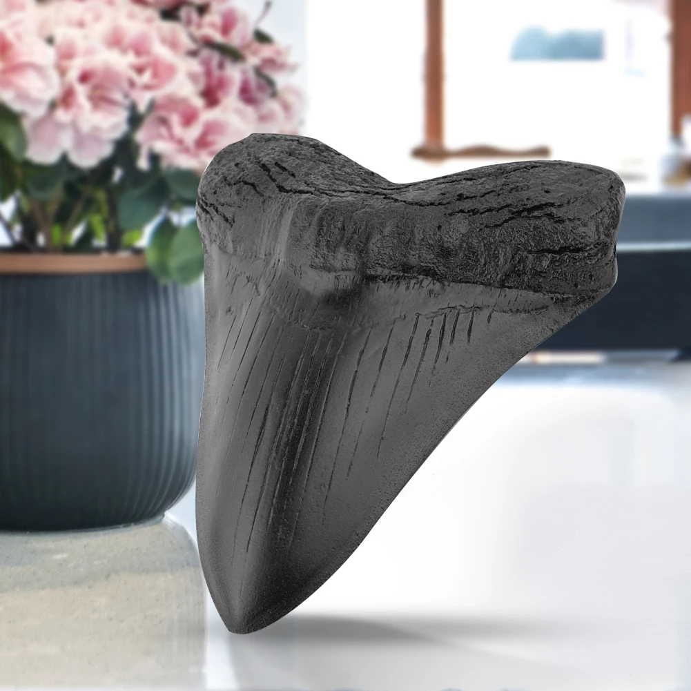 Shark Raw Replika Black Shark Teeth Fossil 5inch Giant