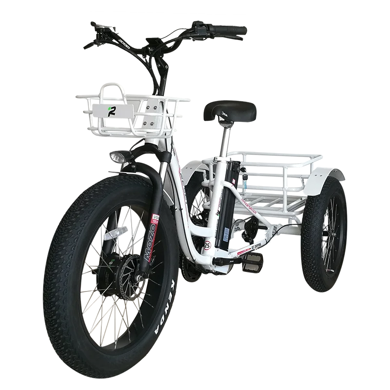 power bike 750w 24 inch electric trike fat tire 3 wheel Tricycle three wheels adult cargo electric bike with basket custom meigi usa in stock 20 inch shimano 7 speed cargo electric cheap tricycle three wheel electric cargo bike