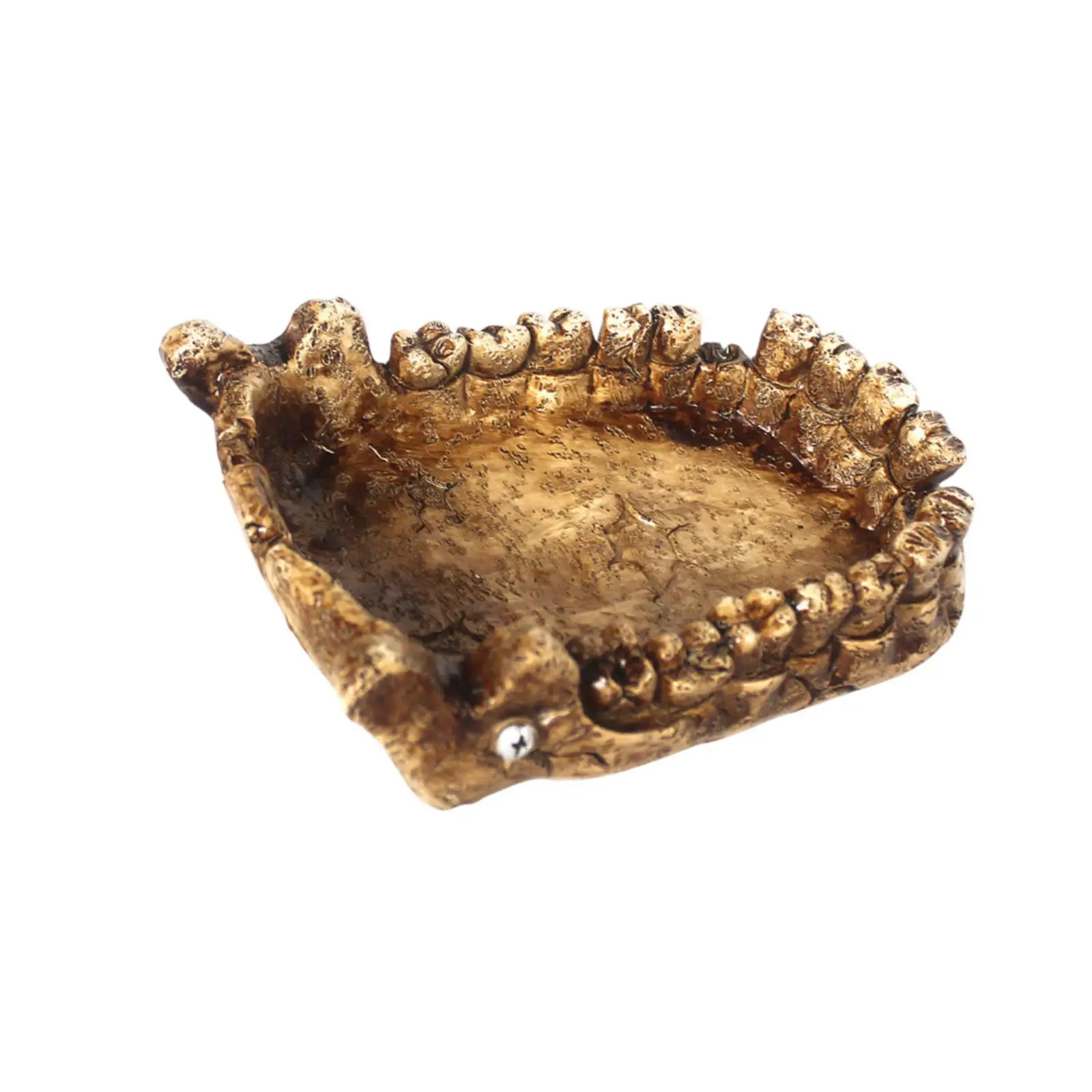 Reptile Feeding Bowl Resin Decorations Bathing Bowl Turtle Bath Terrarium Plate for Frogs Chameleon Pet Supplies Lizards Gecko