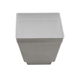 Set of 6 Colorful Mini Square Succulent Plant Pots with Trays (White)