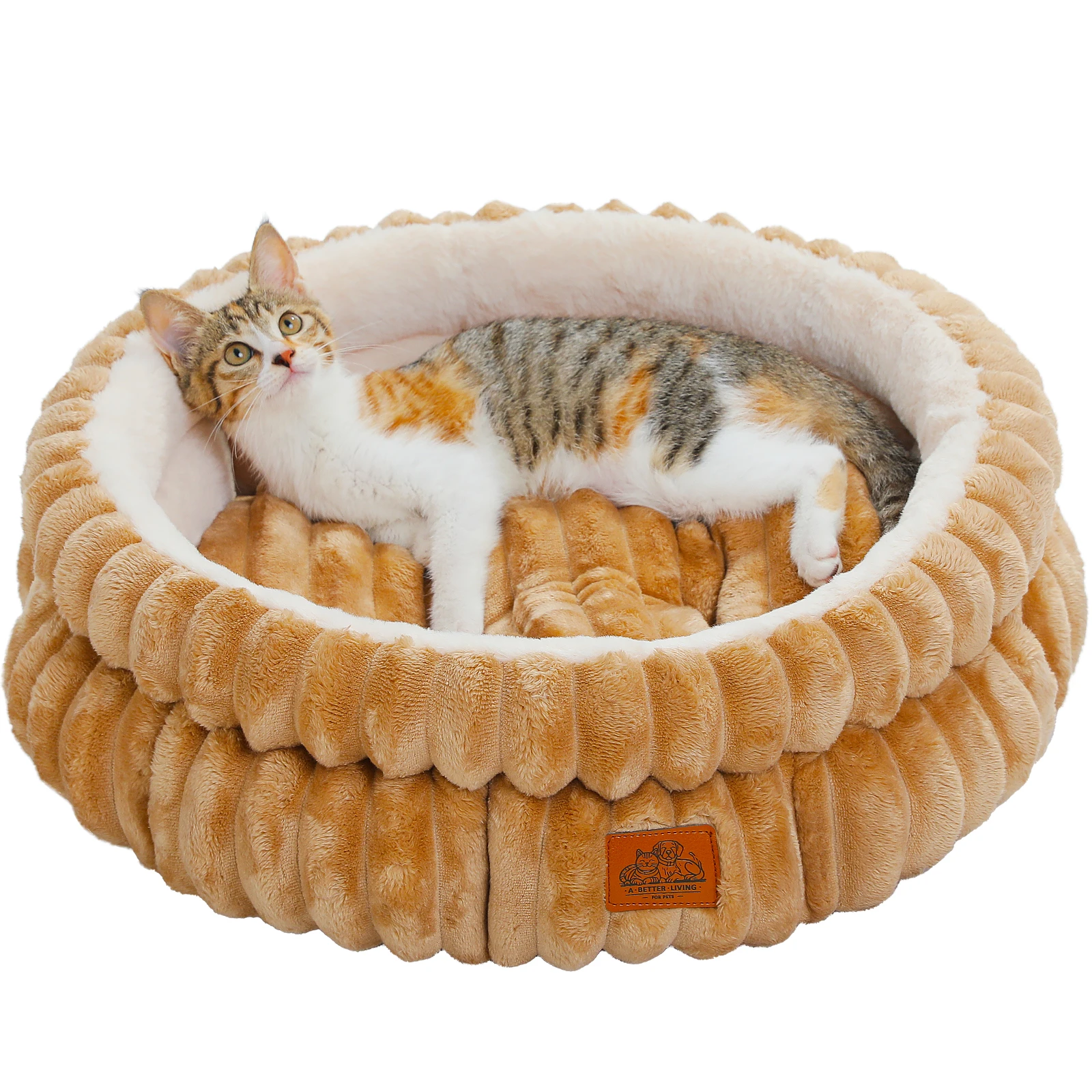 Cat Bed for Kittens