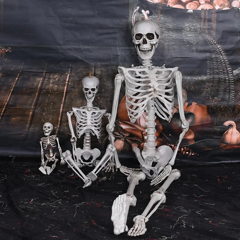 Spooky Full Body Poseable Skeleton Halloween Decoration for Indoor and Outdoor Use