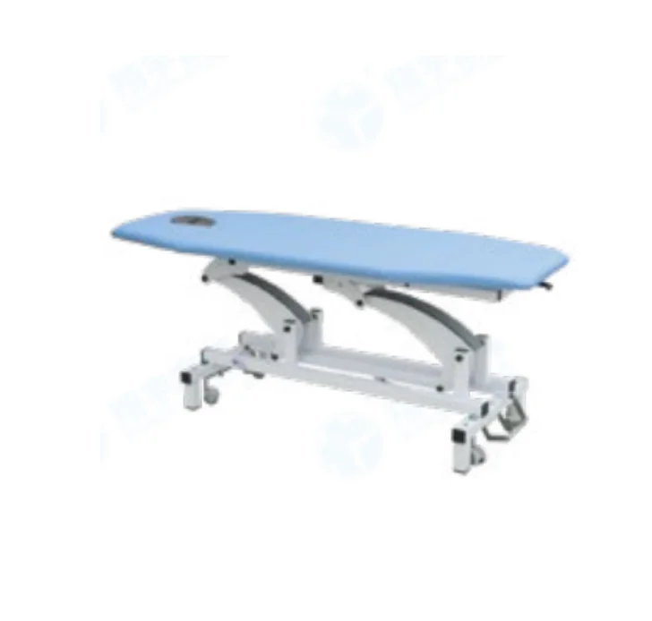 

Top Brand Hot Sale Spa Treatment Table Electric Massage Treatment Bed