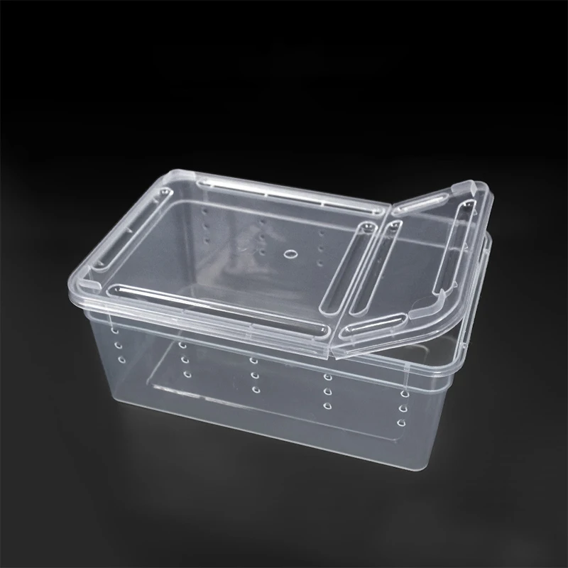 Title 4, 19cmx12.5cmx7.5cm Terrarium For Reptiles Spider...