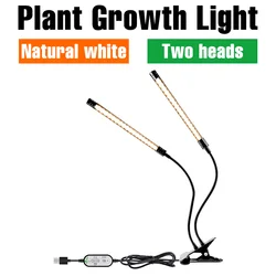 Dimmable LED Grow Light with Timing and Auto On/Off for Indoor Plant Cultivation (Type A - 2 Heads)