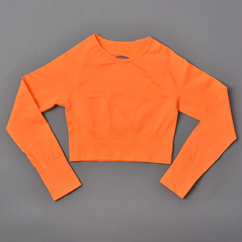 Yoga Top Yoga Shirt Seamless Yoga Shirts Crop Top Long Sleeves Women Yoga Sports Fitness Gym Workout