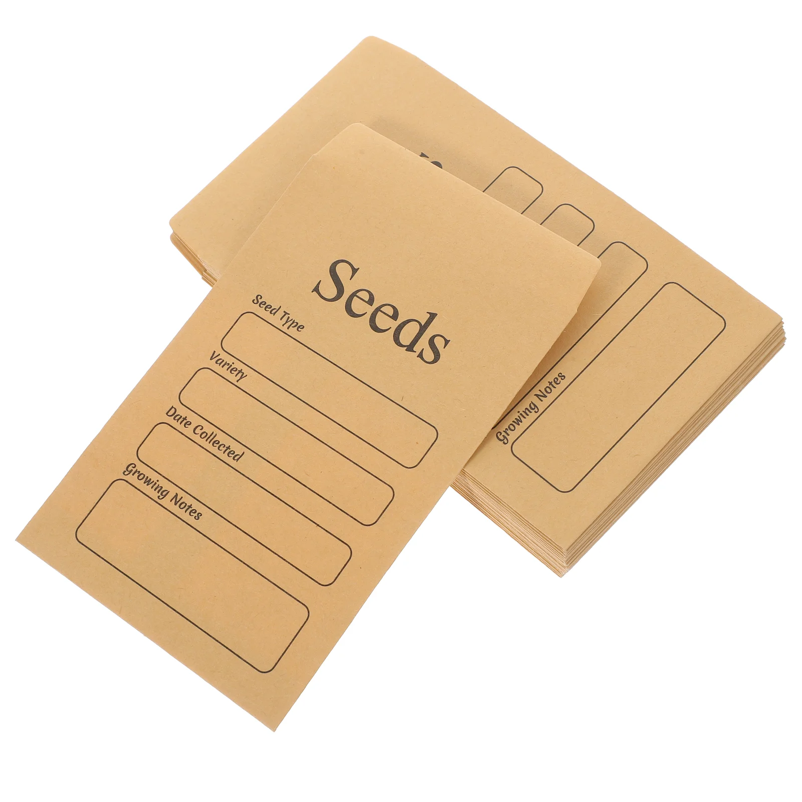 

50 Pcs Small Envelopes Seed Packets Cash Coins Wage Mini Envelops for Presents Data Paper Seeds Bags