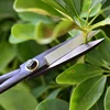 Professional Steel Long Handle Bonsai Scissors Plant Branch Shears Gardening Pruning Bonsai Scissors Flowers Plant Grafting Tool 6