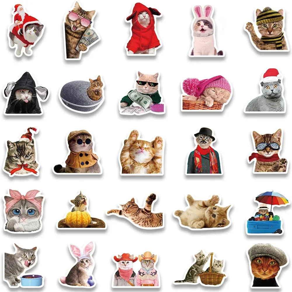 Cat Stickers Funny Cute Cat MEME Animals Stickers Kawaii Cats Decals Scrapbooking Notebook Luggage Laptop Skateboard Sticker Toy