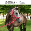 Horse Halter Reins  A bridle to prevent chafing Wear resistant webbing Halter equestrian equipment Horse equipment8218001 1