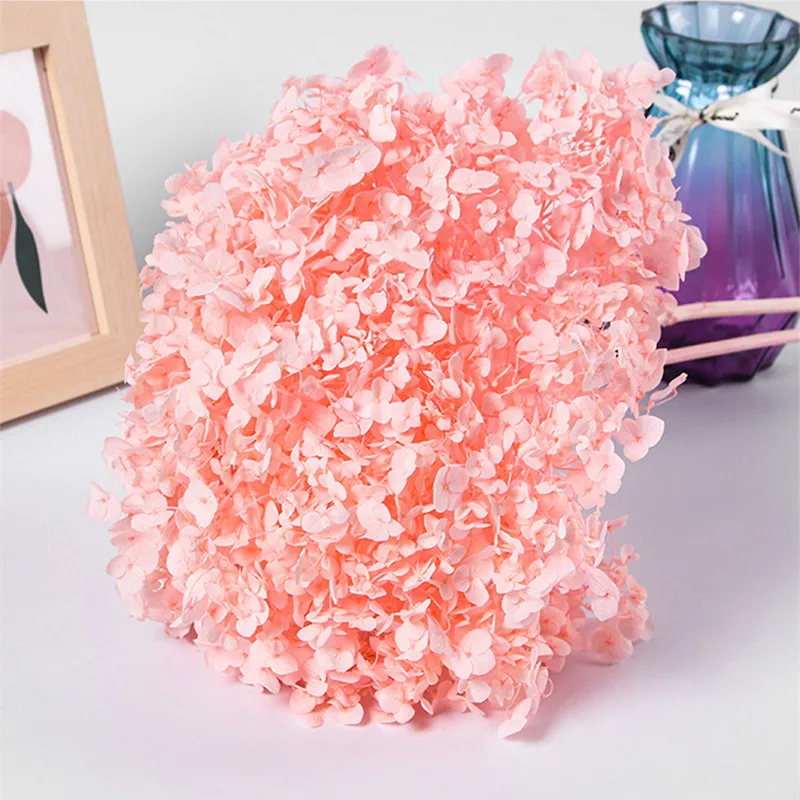 

1Bunch Preserved dried flowers Anna Hydrangea Whole Branch Photograph New Home Desktop Garden Party Decoration
