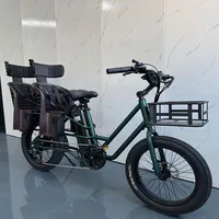 SXLL Family Electric Cargo Bike 48V 750W Electric Hybrid Bike 20-inch Three-Wheel Cargo Bike 300kg Load-bearing Capacity Cargo E