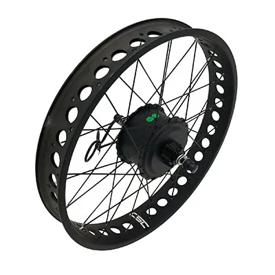 電動自転車の車輪 71Y9kXZuhQL._UF350,350_QL50_.jpg