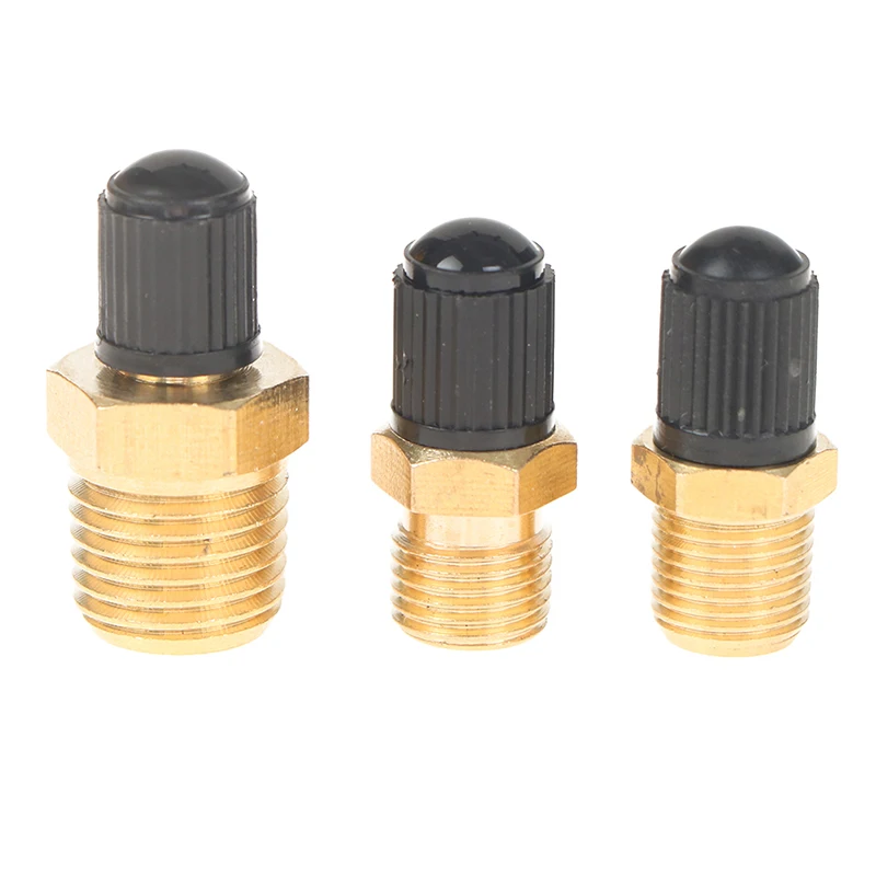 Anti-Corrosion Brass Schrader Tire Valve with Sealing Caps