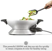 the Hot Electric Wok, One Size, Grey 2