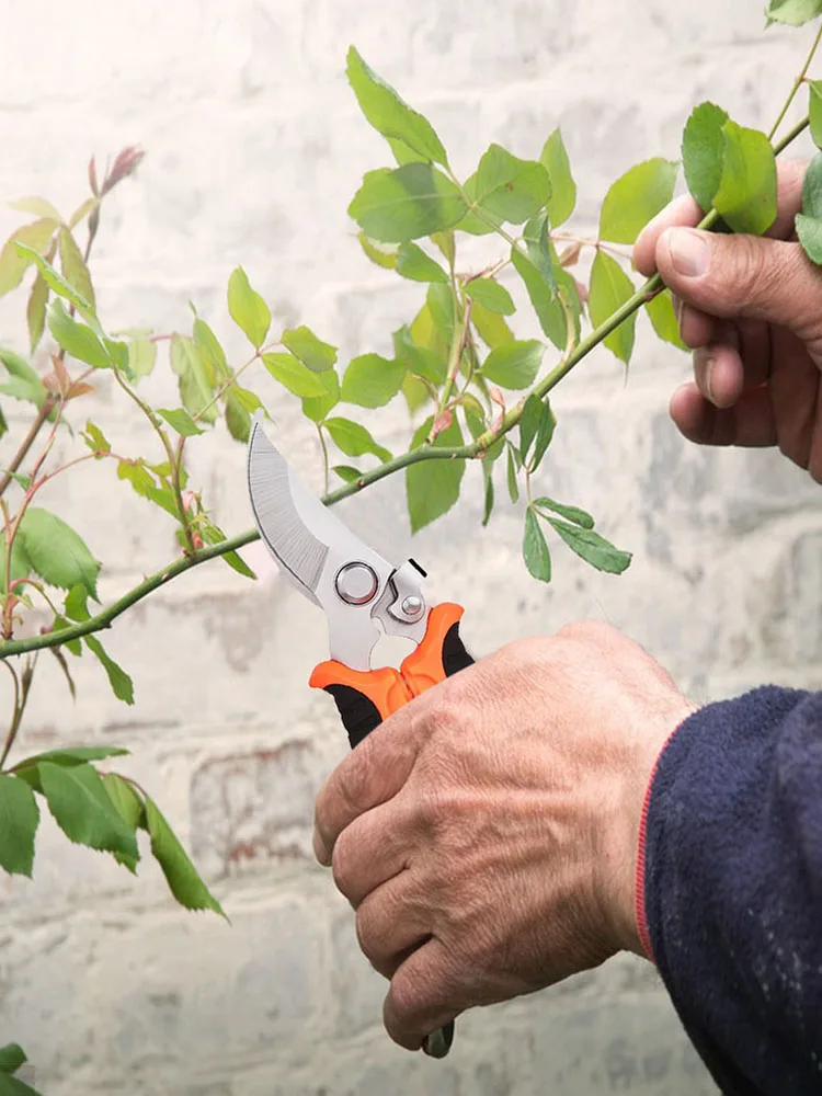 3Pcs Handheld Clippers Stainless Steel Plants Trimming Scissor Flower Clippers for Harvesting Picking Indoor Outdoor Greenhouse