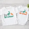Big Brother Little Brother Matching Clothes Safari Animals Printed Sibling Shirt Kids T-shirt Top Baby Bodysuit Children Outfits 4