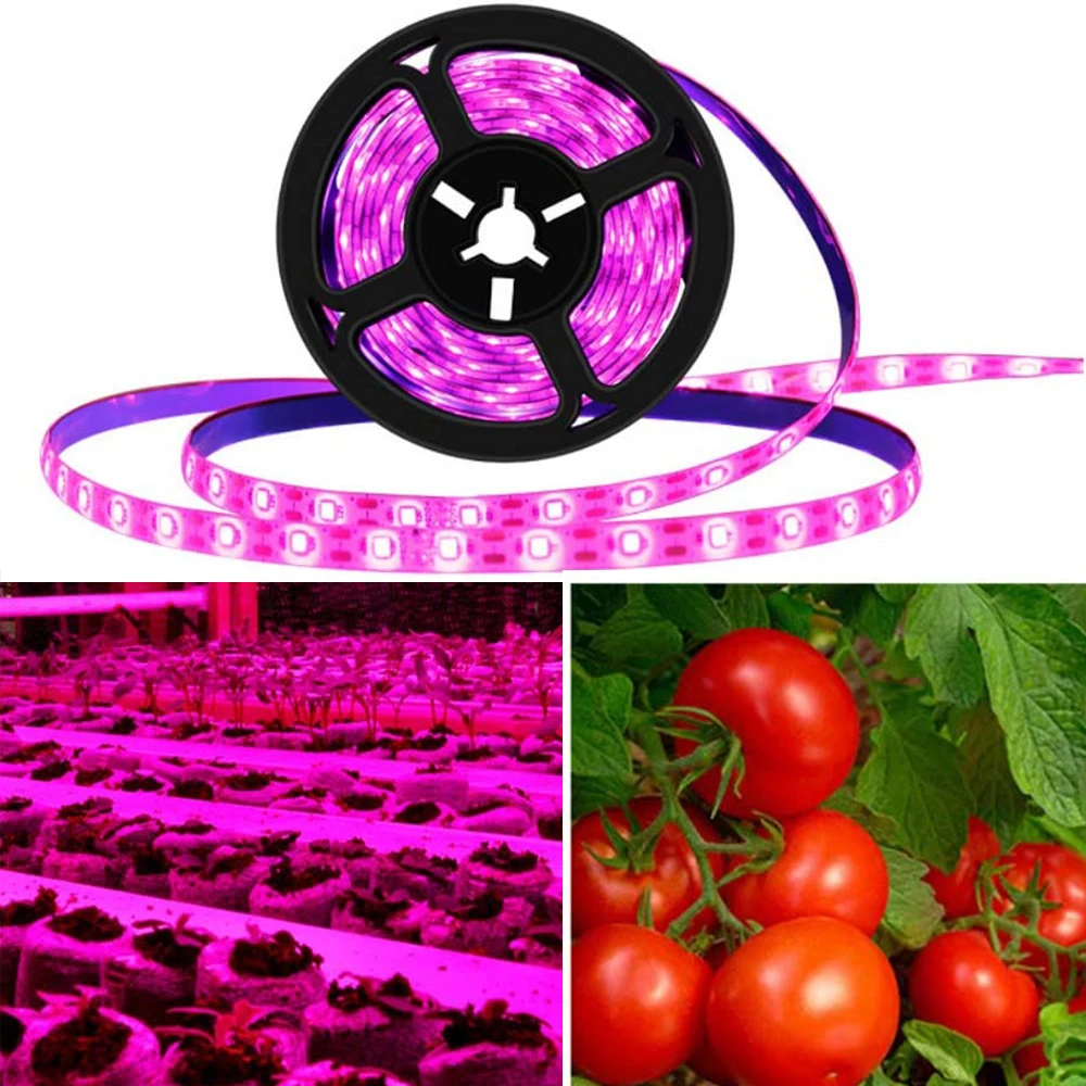 

12v Led Grow Light Lamp Bar Strip Led Light Strips Waterproof Diy Greenhouse Indoor Full Spectrum Led Grow Light Bar