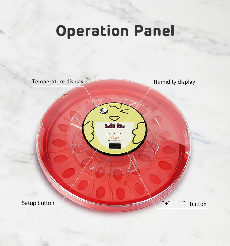 

Цифровой автоматический инкубатор для яиц, большой прозрачный Круглый 30 инкубатор для куриных, утиных, фазанов, перепелов