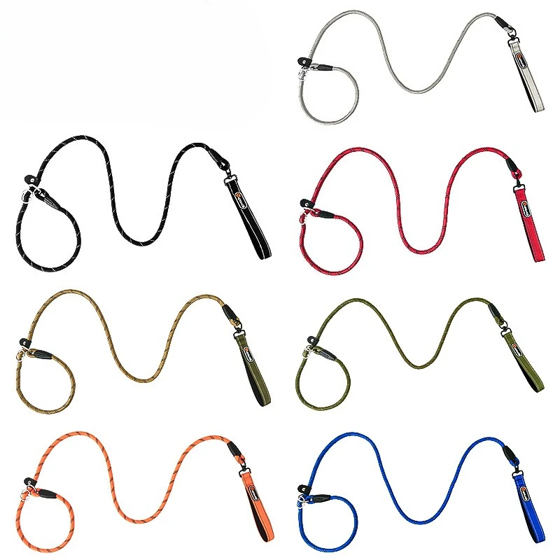 150cm 2 in 1 P-Shaped Chain Slip Lead Control Training Choking Dog Walking Leash Dog Accessories for Small Large Dogs 5