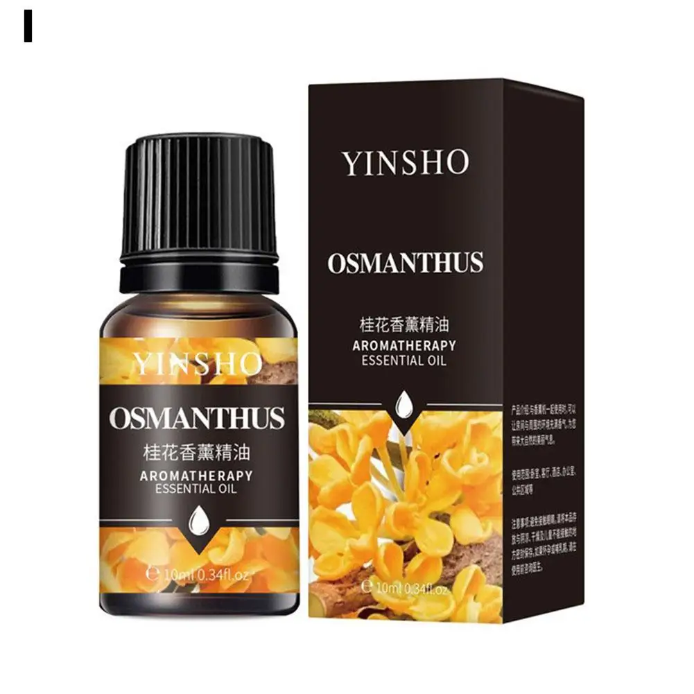 Aromatic Essential Oil Collection - 16 Fragrant Scents