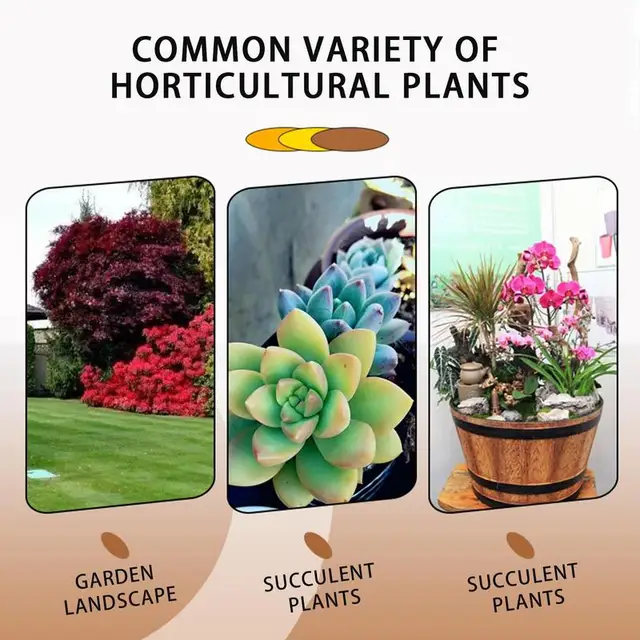 Gyors Gyökerezés 50 Ml -Es Szerves Folyékony Extra Növényi Stimulátor Virággyökér Nyitó Növény Vágása Növekedési Transzplantációs Fa Műtrágya - Image 5