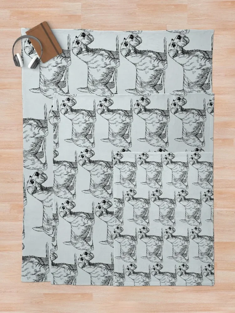 Sealyham ������ ���, ���� ħ�� ���� ���� �ε巯�� ���