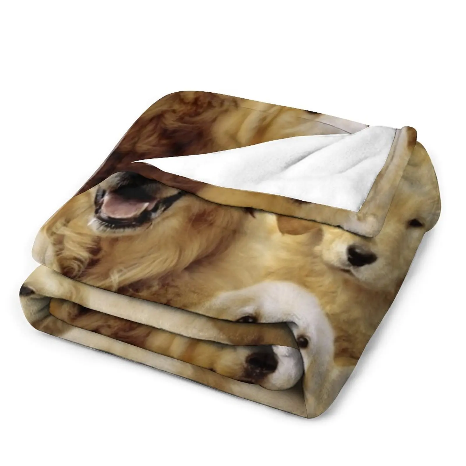 ��� ��Ʈ���� ������ ���, ���� �̺�, ��ũ�� ���