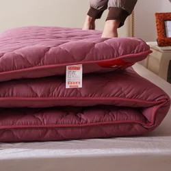 Colchón para el hogar para estudiantes, ropa de cama gruesa y cálida, plegable, individual o doble, a la moda, nuevo estilo, 2016