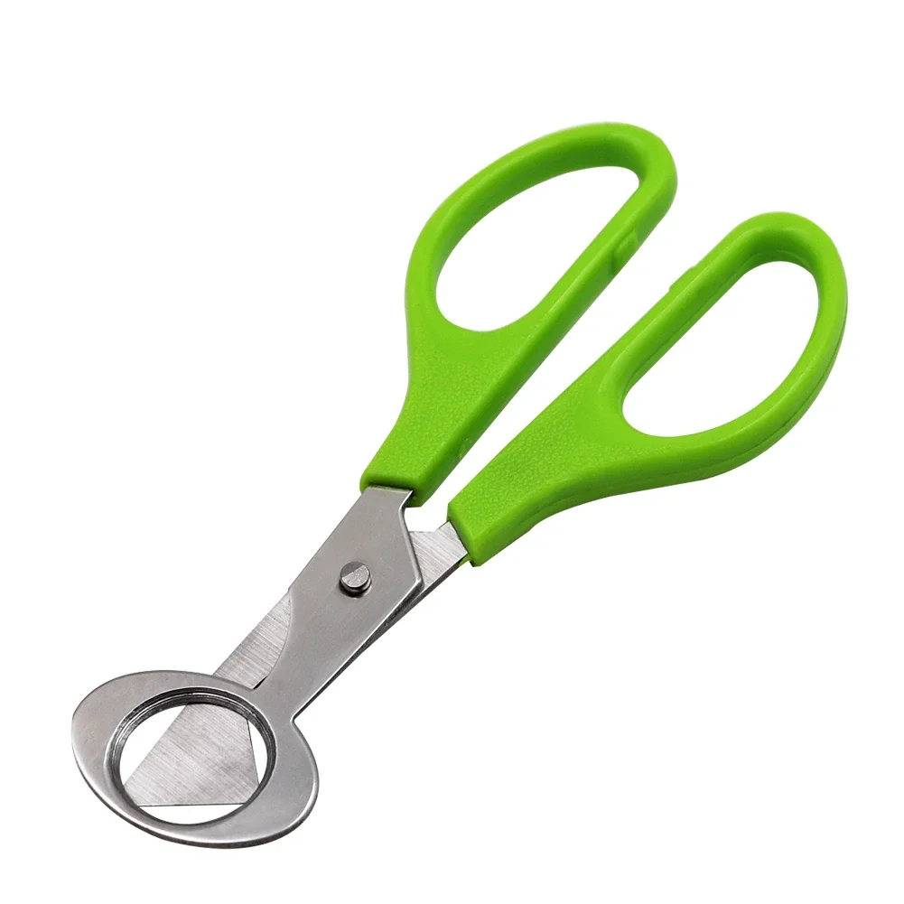10PCS Edelstahl Wachtelei Cutter Schere Taube Vogel Wachtelei Cutter Opener Cracker Küche Clipper Werkzeug – Detail 4