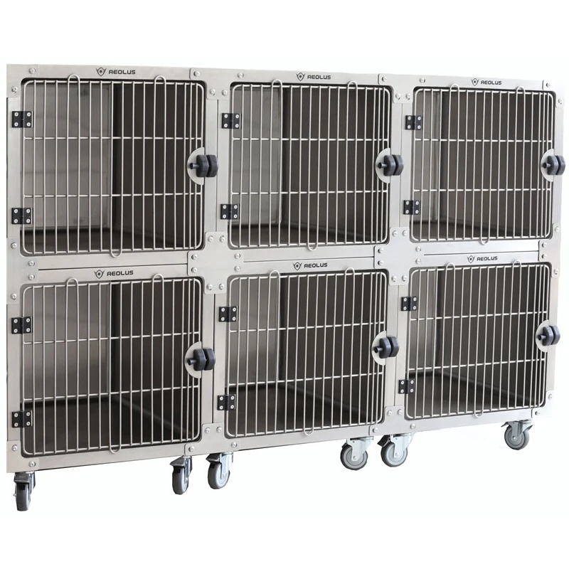 Pincettes à Coton Vétérinaires Meriam En Acier Inox - Garantie 3 Ans - Outils Micro-chirurgicaux