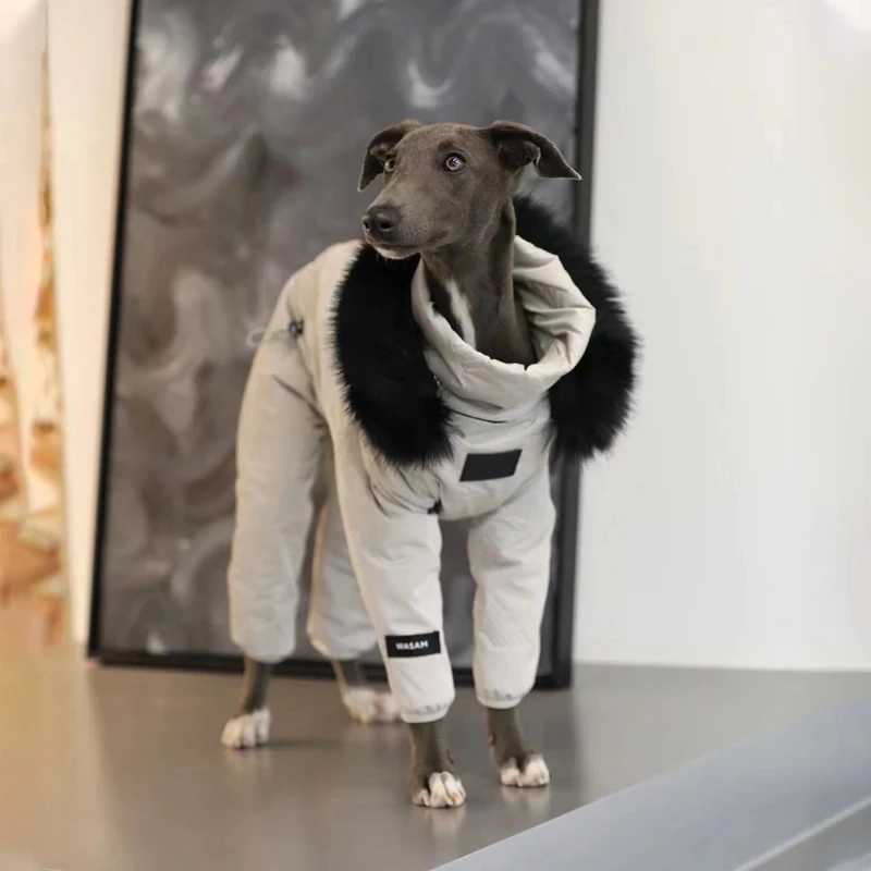 Pequeno e médio cão roupas outono/inverno super grosso cão casaco