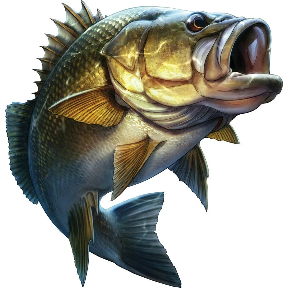 Car Stickers  Funny Cartoon Large Mouth Bass Fish Styling Waterproof Reflective Sunscreen Front Windshield Car Decoration