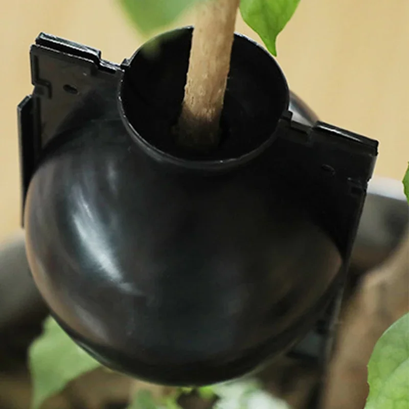 10Pcs Reusable Plant Root Growing Box Cutting Grafting Rooting Ball for Garden Rooting Propagation plant rooting ball