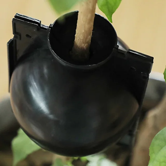 10Db Újrafelhasználható Növénygyökér -Termesztési Doboz Vágó Oltó Gyökérgömb Kert Gyökérgyökér Szaporodási Golyó Tenyésztő Berendezések - Image 4