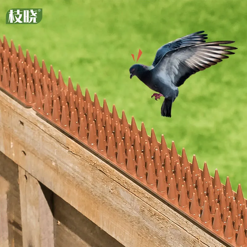 Рисунок 4 - Кошачьи кошачьи шипы для сада