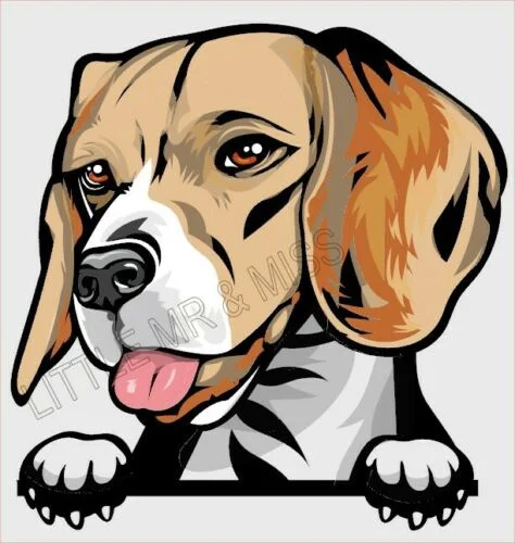 For Beagle Peeking Dog Breed Colour Window Wall Laptop Sticker W/Proof