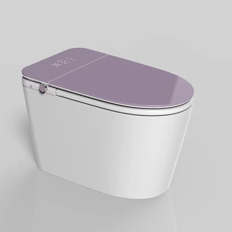 YYHC-an intelligent toilet