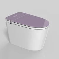 YYHC-an intelligent toilet 2