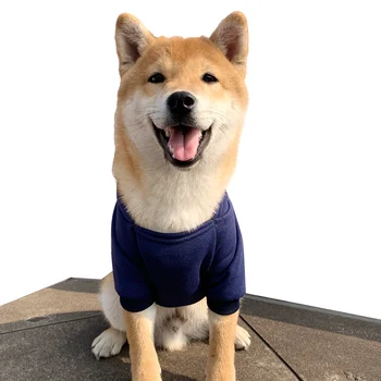 Sweat à capuche polaire pour chiens Chewnel - 2025 - Doglovedesign : Vêtement et accessoires pour chiens