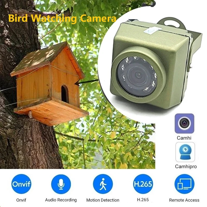 1080P 1920P Outdoor WiFi Bird Watching Camera Waterproof 940 IR Night