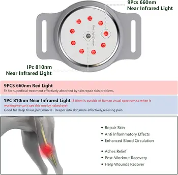 Portable Red Light Therapy Device for Pets Arthritis Treatment Pain Relief Wavelength 660nm*9/810nm*1 Veterinary Equipment 2