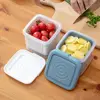 Plastic Kitchen Gadget Thick Double Layer Sealed Ginger Container Fruit Storage Containers Vegetable Tray Fridge Storage Box 3