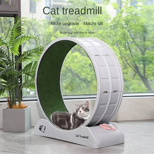 A New Level of Fitness Fun for Your Feline Friend