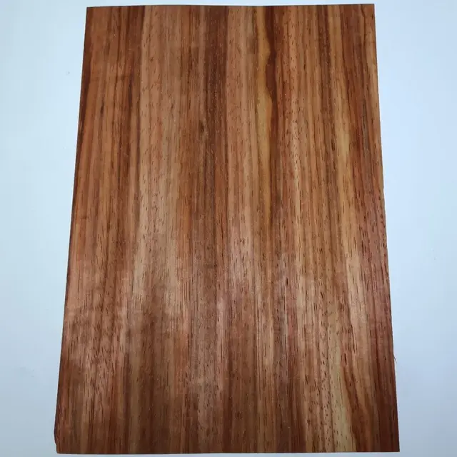 10 PCS/PackTable Tennis Blade High Quality Wood DIY Buterfly Racket Face Material Power Material 28*18CM 6