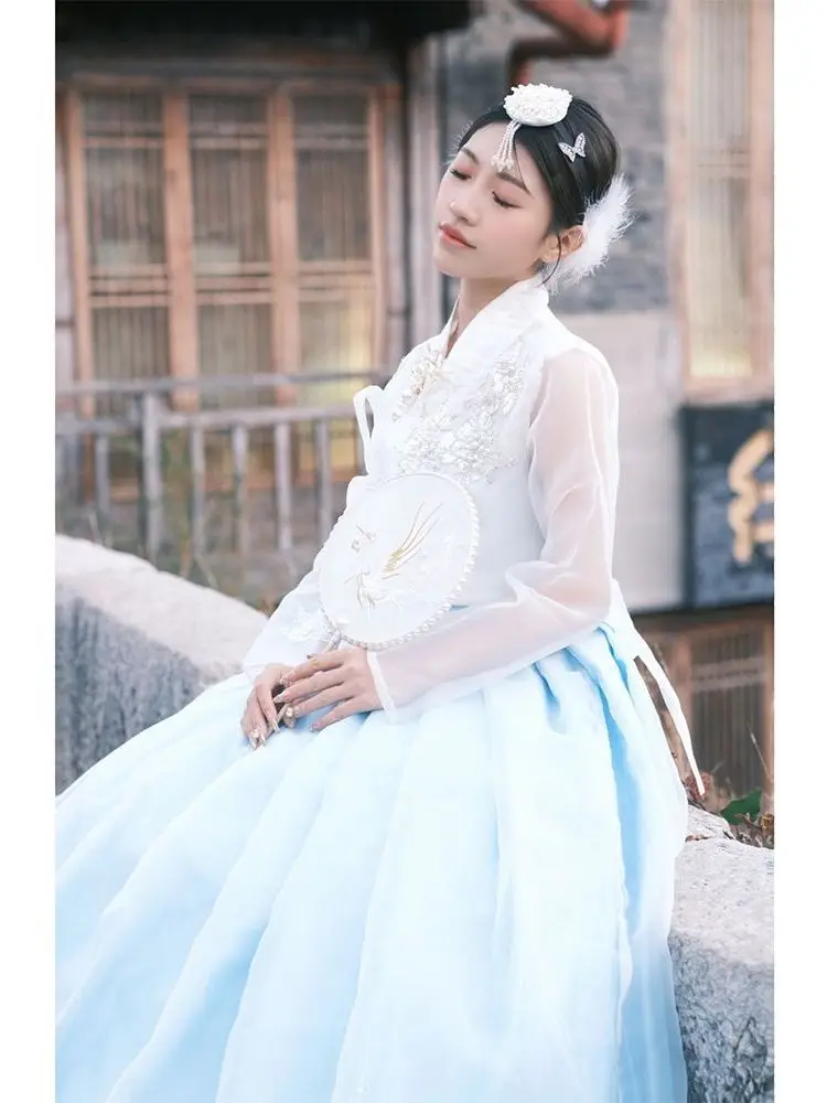 

Female New Korean Traditional Clothing Fairy Dress Women Stage Performance Fluffy Costume Multicolor Hanbok Folk Top Skirt Sets