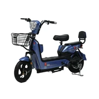 Wholesale Price 14 Inch Step Through Electric Bike 6