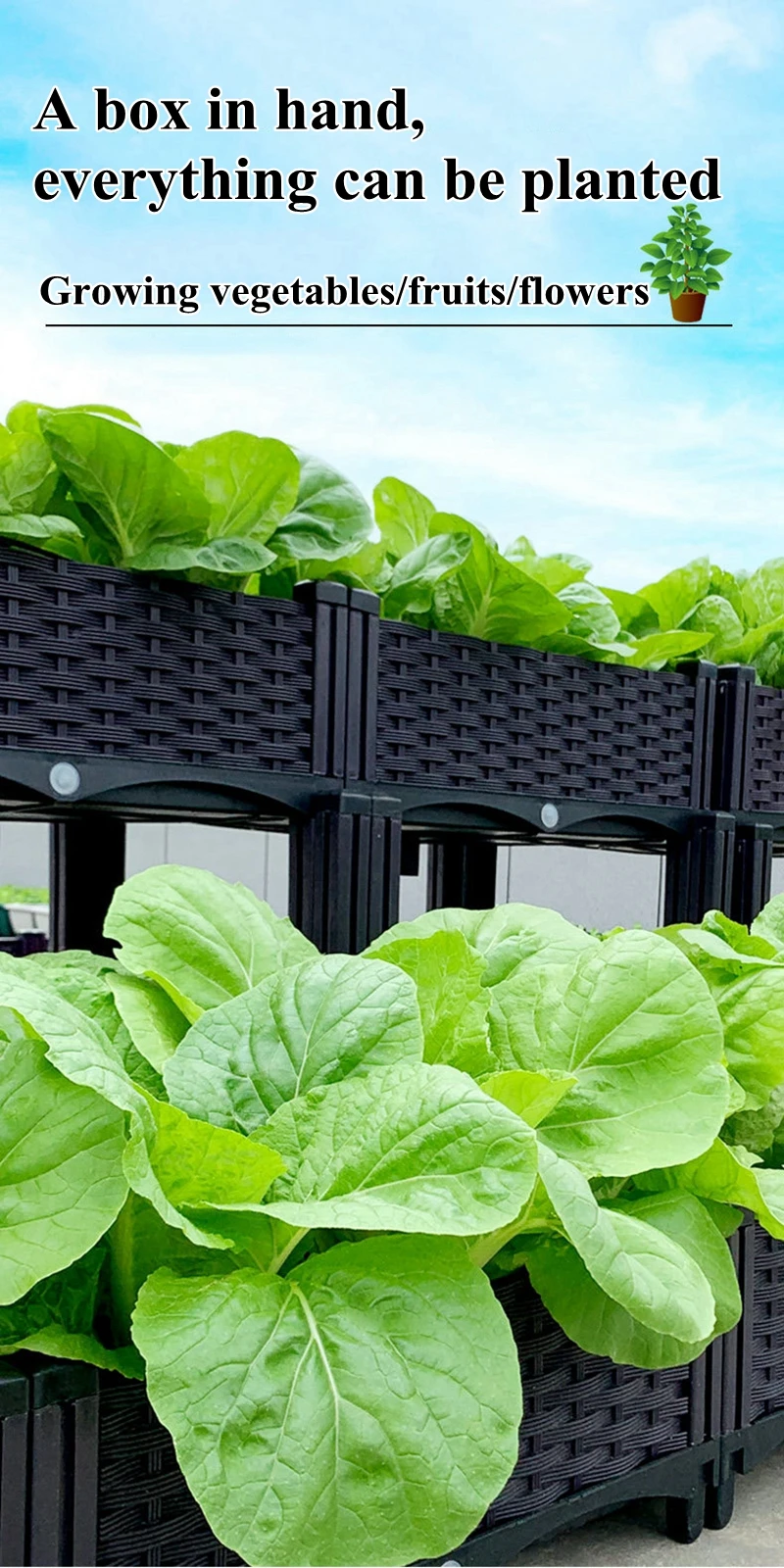 Description Picture 2 of itemLarge Capacity Vegetable Planting Box Home Balcony Planting Pot Equipment Thickened Square Flower Pot Garden Pots & Planters